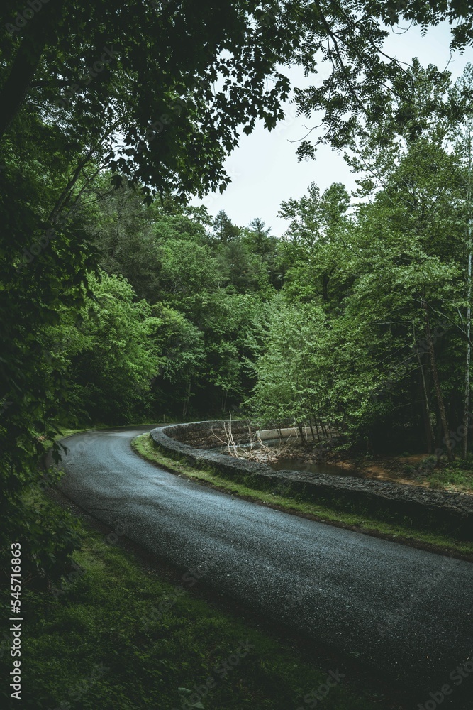 Fototapeta premium Vertical shot of the country road surrounded by green vegetation.