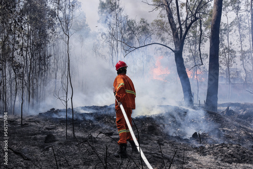 Canvastavla Firefighter  battle a wildfire because climate change and global warming is a driver of global wildfire trends