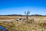 Beautiful landscape of countryside under clear blue sky in  Emmaville, New South Wales, Australia