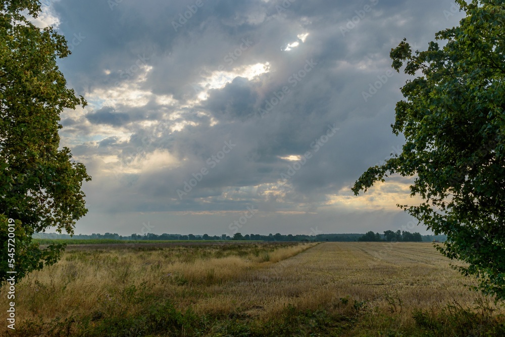 Dark clouds over a field at sunset