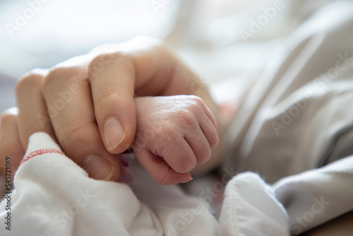 Fotografía new born baby hand holded by  mum