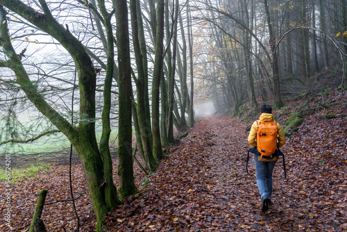 Bei Trippstadt- Karlstalschlucht-Pfalz im Herbst photo