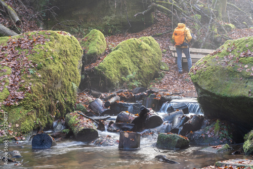 Bei Trippstadt- Karlstalschlucht-Pfalz im Herbst photo