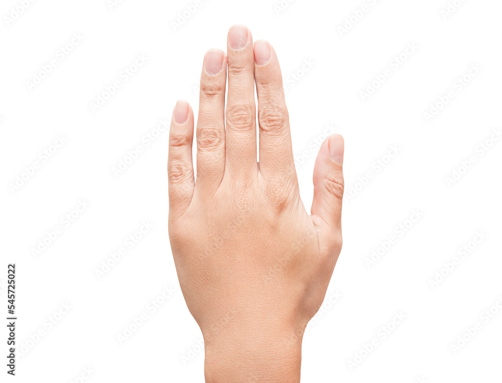 Woman's hand, female well - groomed fingers, isolated on white background with clipping path Woman's hand, female well - groomed fingers, isolated on white background with clipping path