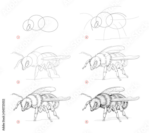 Page shows how to learn to draw sketch of bumblebee. Creation step by step pencil drawing. Educational page for artists. Textbook for developing artistic skills. Online education. Vector image. photo