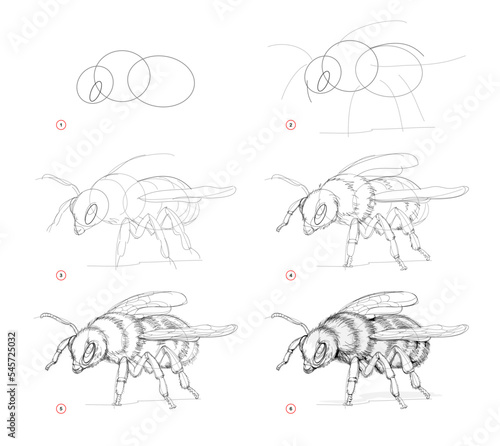 Page shows how to learn to draw sketch of bumblebee. Creation step by step pencil drawing. Educational page for artists. Textbook for developing artistic skills. Online education. Vector image.