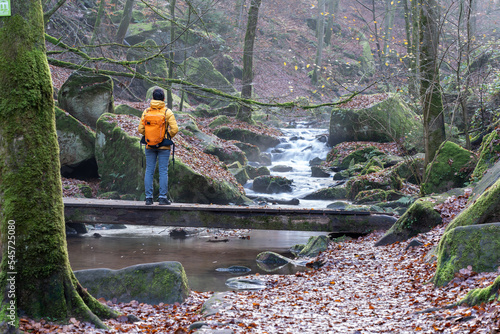 Bei Trippstadt- Karlstalschlucht-Pfalz im Herbst photo