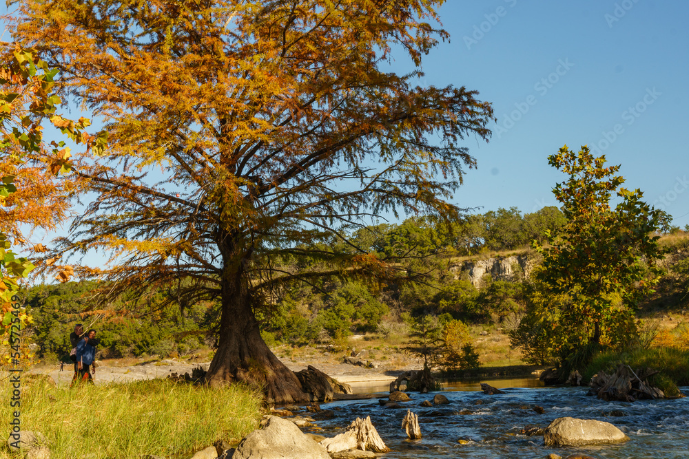 Fall at Pedernales Falls State Park in Blanco, Texas (Texas Hill Country) Fall at Pedernales Falls State Park in Blanco, Texas (Texas Hill Country)