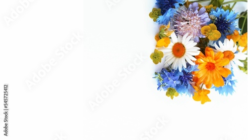 Yellow and blue wildflowers on a white background. Summer flower arrangement. Background for a greeting card.