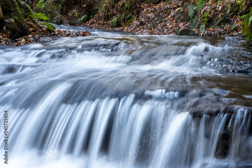 Bei Trippstadt- Kahrlstalschlucht-Pfalz im Herbst