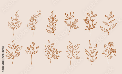 Set of modern floral line art elements.Hand draw botanical.