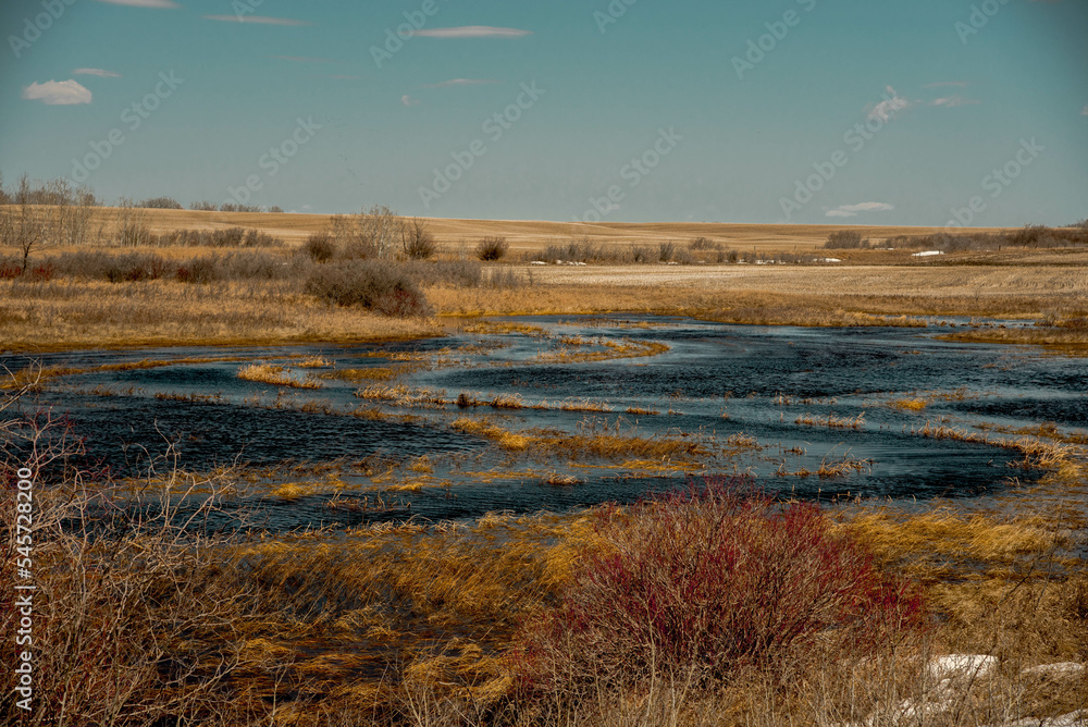 landscape on the prairie