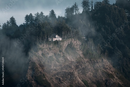 Obraz na plátně Beautiful house on the gorge with fir forest trees in the background on a foggy