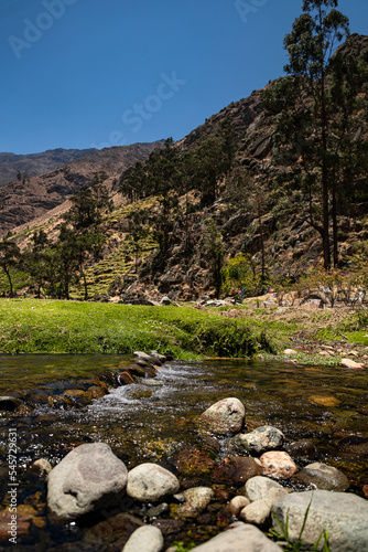 Landscape with green areas and river crossing