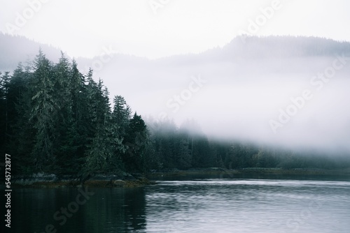 Beautiful shot of Baranof island with green lush pine forest on seashore covered in dense fog Alaska