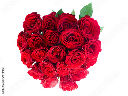 Crimson red rose flowers