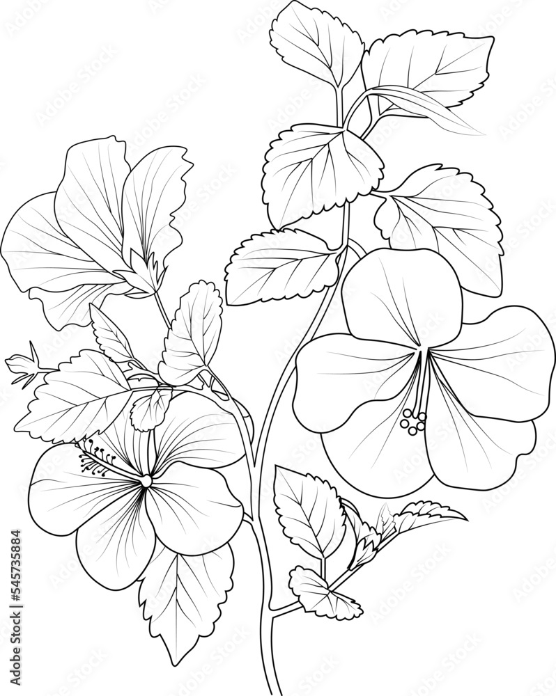 Isolated hibiscus flower hand drawn vector sketch illustration, botanic collection branch of leaf buds natural collection coloring page floral bouquets engraved ink art. Isolated hibiscus flower hand drawn vector sketch illustration, botanic collection branch of leaf buds natural collection coloring page floral bouquets engraved ink art.