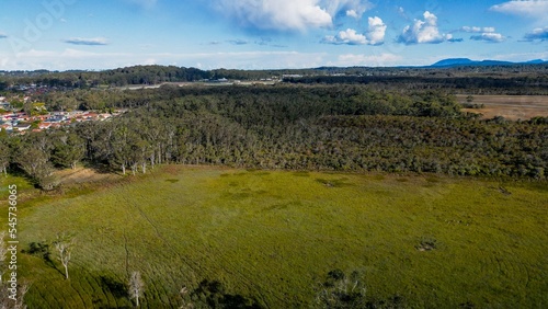 Aerial view of the forest landscape near Port Macquarie in New South Wales, Australia