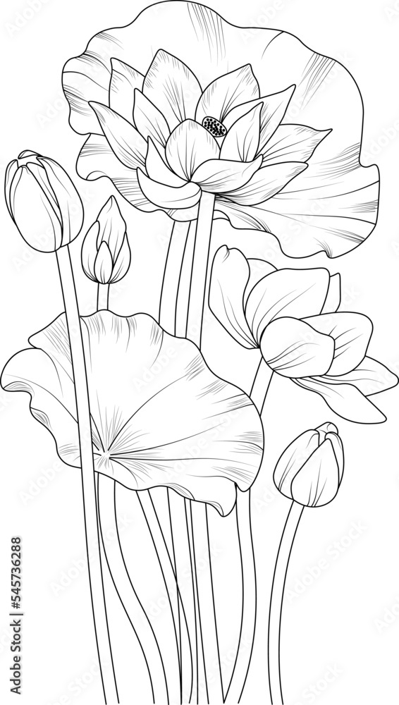 Handdrawn lotus flower bouquet vector sketch illustration engraved ink