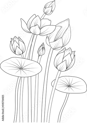 Hand-drawn lotus flower bouquet vector sketch illustration engraved ink art botanical leaf branch collection isolated on white background coloring page and books.  