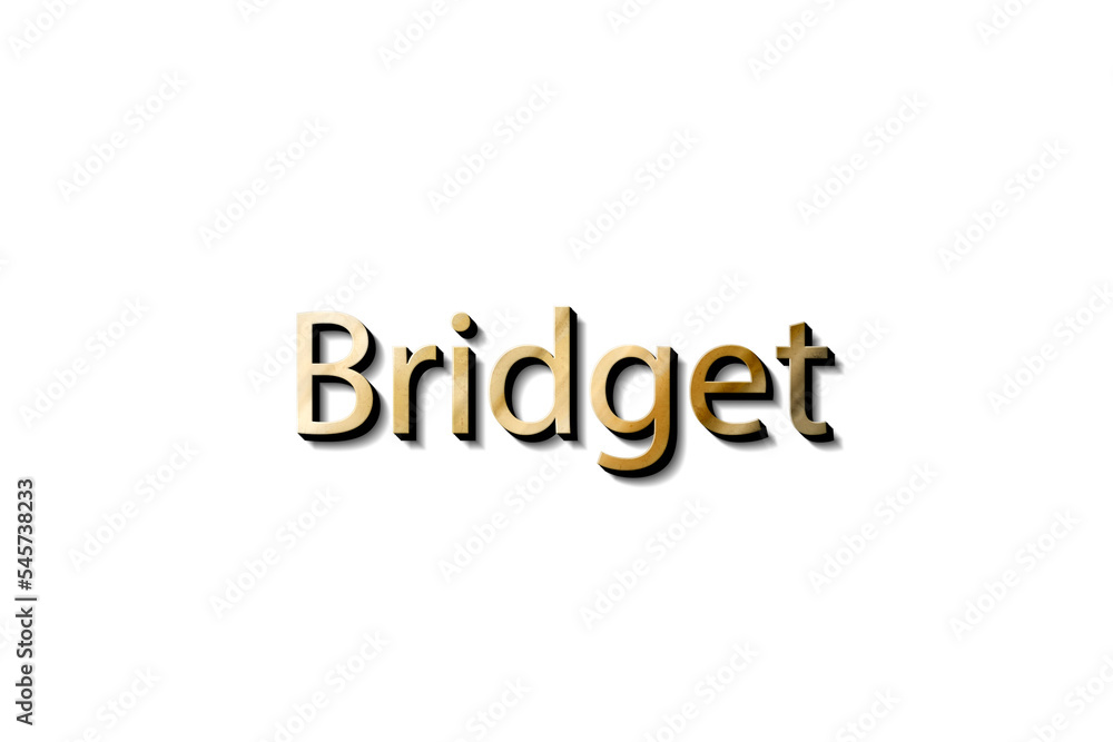 3D MOCKUP BRIDGET