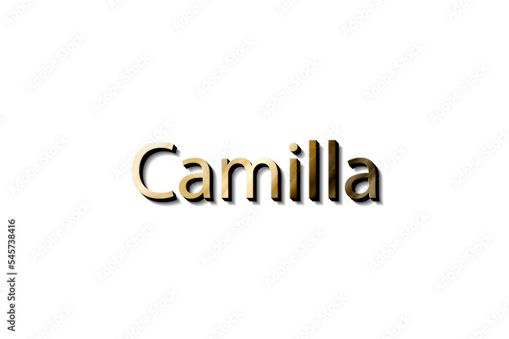 3d mockup name Camilla 3d mockup name Camilla