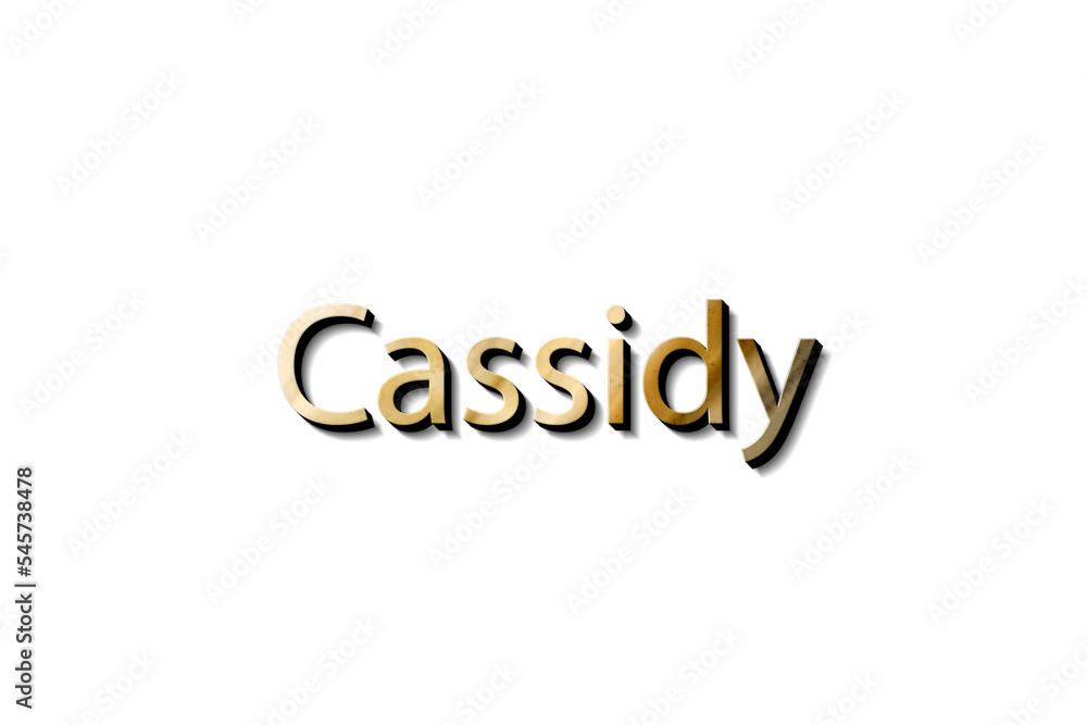 mockup name Cassidy mockup name Cassidy