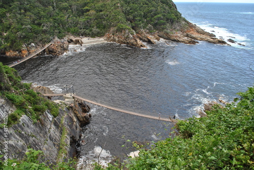 Tsitsikamma national park, South Arfica photo