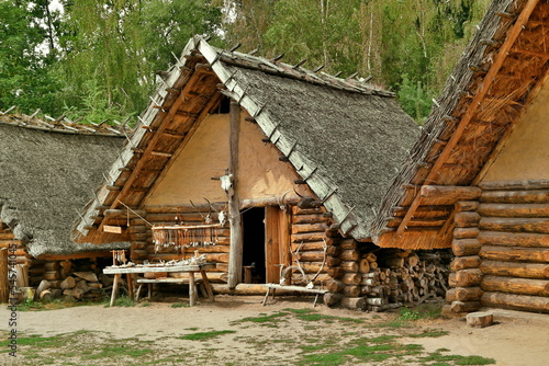 Biskupin settlement houses