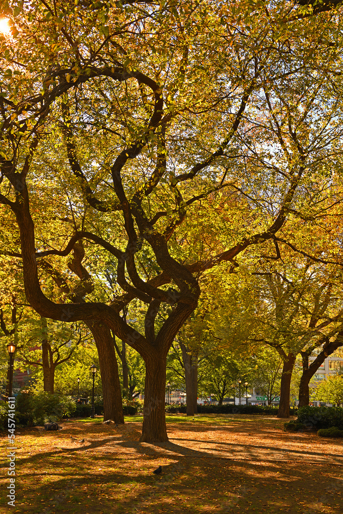 Golden Autumn in Union Square Park. New York City Golden Autumn in Union Square Park. New York City