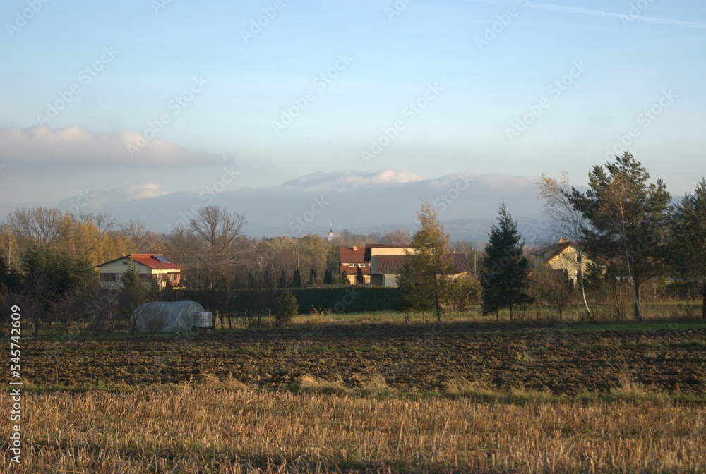 Obraz premium SONY DSC