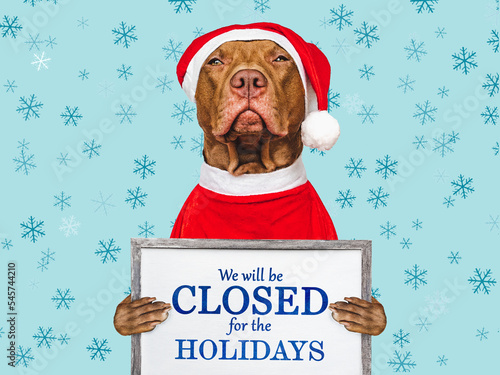 Signboard with the inscription We will be closed for the Holidays. Charming brown puppy and Santa costume. Close-up, indoors. Studio shot. Pet care concept. Sign for shop, store and sales © Svetlana