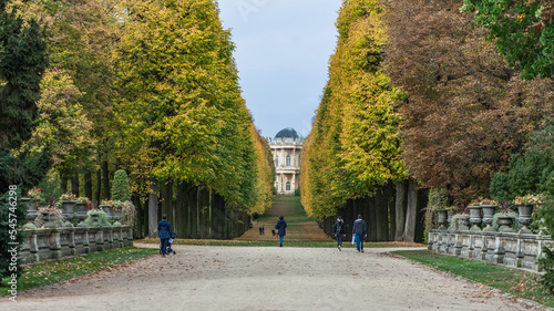 POTSDAM, GERMANY - October 15 2022: Autumn alley with fallen leaves in Schlosspark Sanssouci close to Belvedere on the Klausberg.