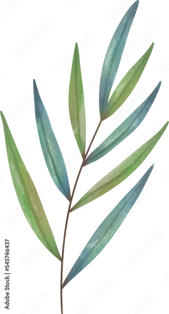 Obraz premium Watercolor leaf painting clipart png