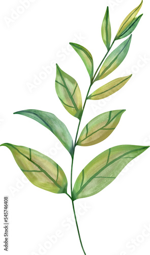 Watercolor leaf painting clipart png