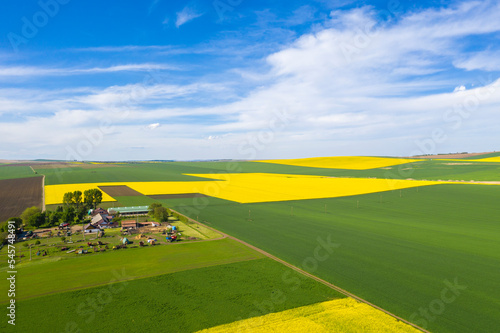 Cultivated fiels from above
