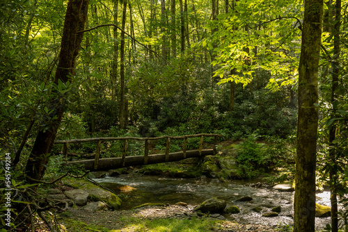 Simple Wooden Bridge Across Creek In Great Smoky Mountains