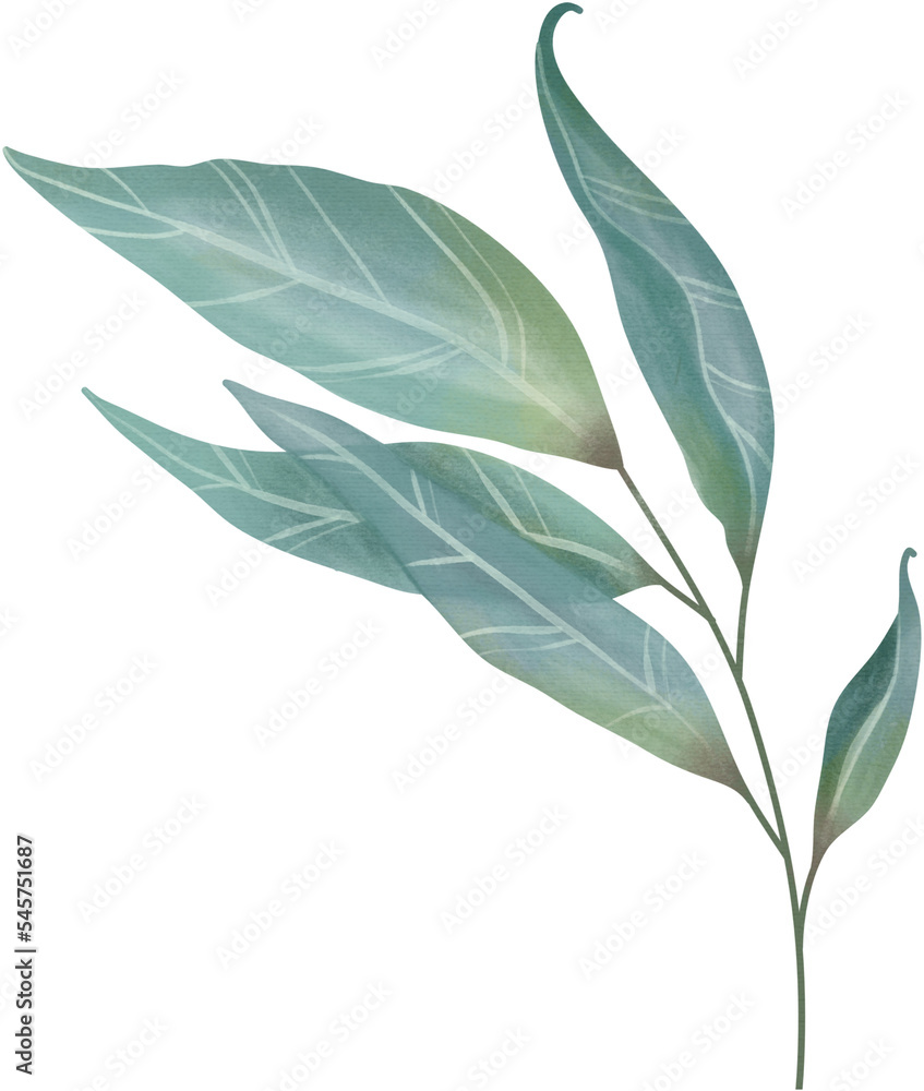 Watercolor leaf painting clipart png Watercolor leaf painting clipart png