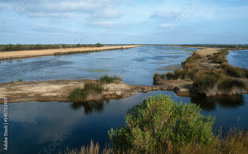 R  serve  Sentiers du littoral  Domaine de Certes et Graveyron  Bassin d Arcachon  Gironde  33  France