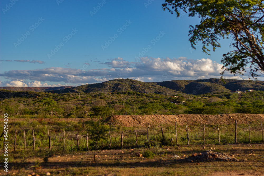 Naklejka premium tarde de verão