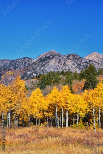 Pine Hollow hiking trail Mountain views by Timpanogos in the Wasatch Mountains Rocky Mountains  Utah. America. 