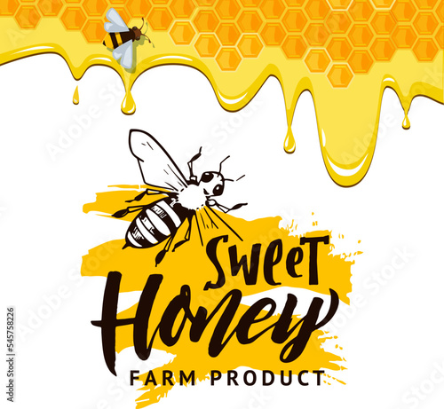 Honey background. flow of honey on lettering. Vector conceptual template