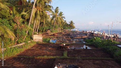 Aerial Morning Sunrise in on the beach in north - Traditional Salt Making Bali, Indonesia photo