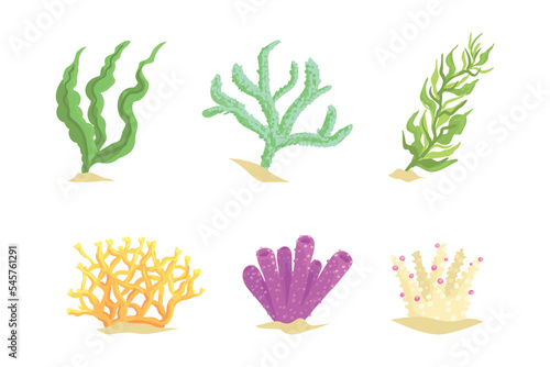 Colorful Coral as Marine Growing Flora from Ocean Bottom Vector Set