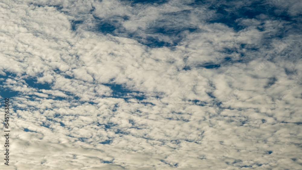 White clouds on a blue sky. Feather clouds in the sky, cloud background White clouds on a blue sky. Feather clouds in the sky, cloud background