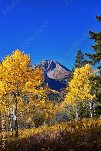 Pine Hollow hiking trail Mountain views by Timpanogos in the Wasatch Mountains Rocky Mountains, Utah. America. 