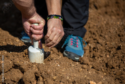 Hands sowing seeds into the soil