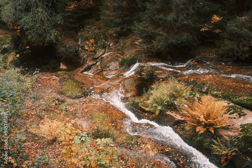 Steinerne Renne im Harz. Jahreszeit Herbst. Kleiner Bachlauf und große rutschige Steine im Wald