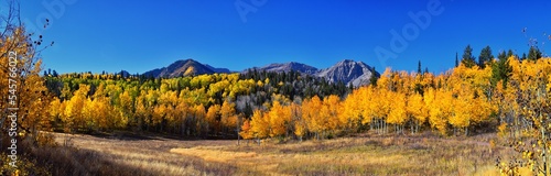 Pine Hollow hiking trail Mountain views by Timpanogos in the Wasatch Mountains Rocky Mountains  Utah. America. 