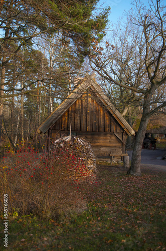 Old 1700s log farmhouse, birch tree woodpile a sunny autumn day in Stockholm